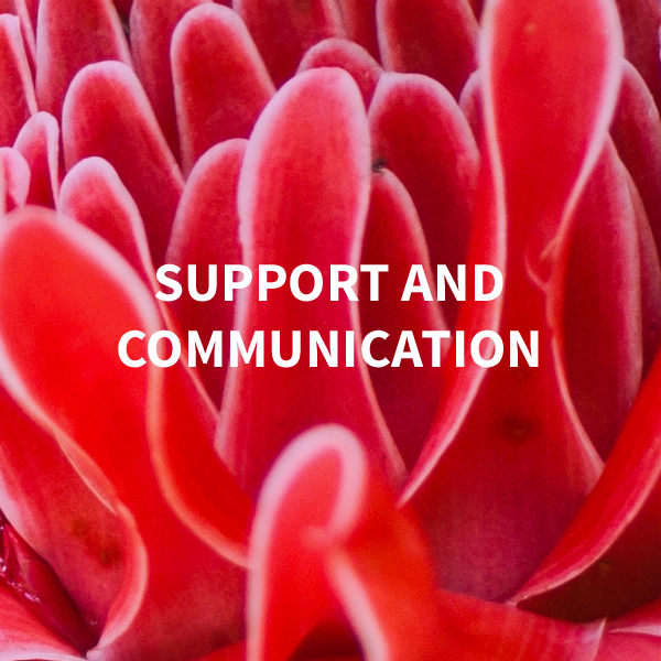 Support et communication 